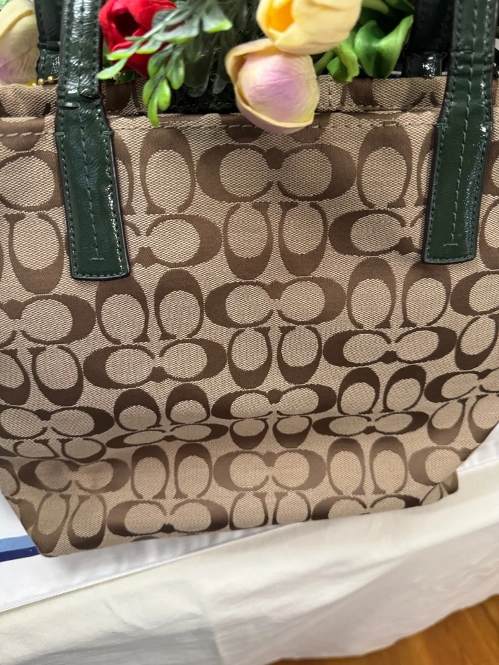 Coach signature stripe